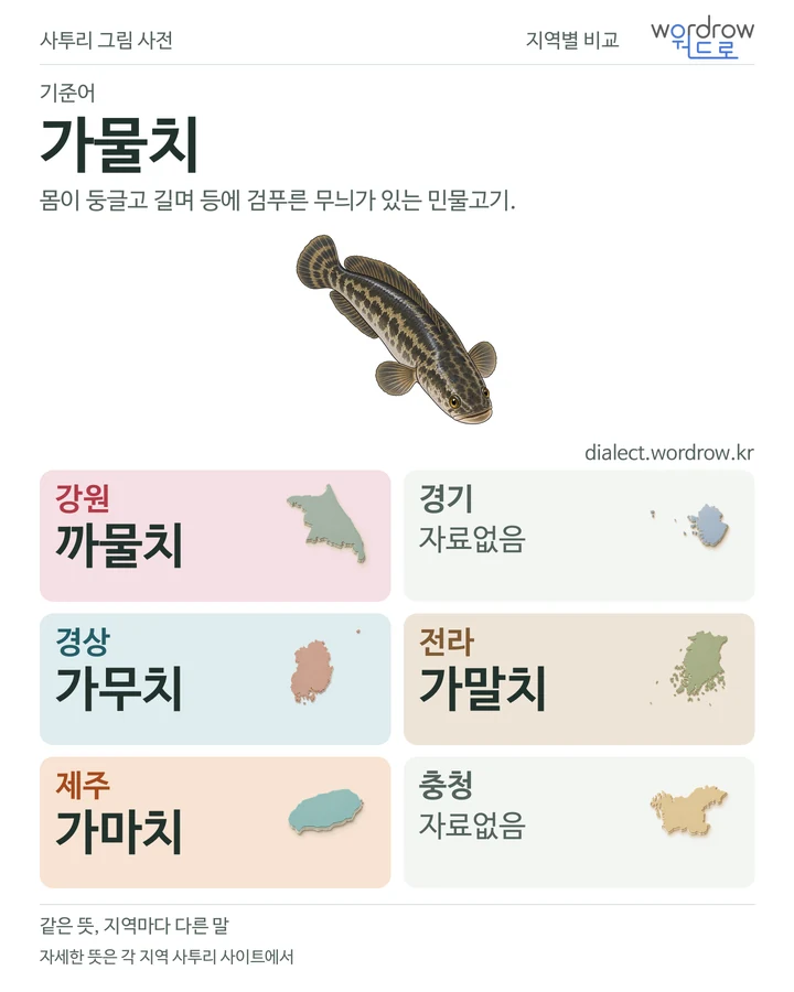 가물치의 여섯 지역 사투리 비교