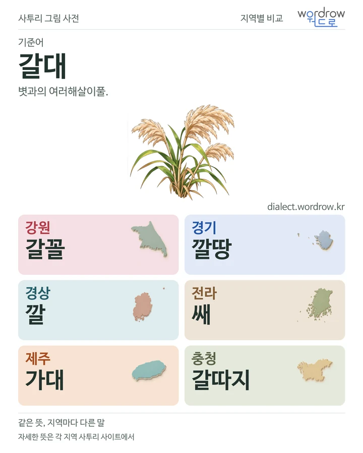 갈대의 여섯 지역 사투리 비교
