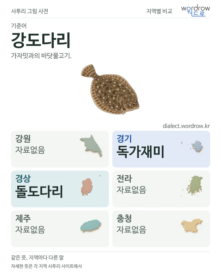 강도다리의 여섯 지역 사투리 비교