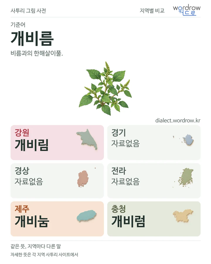 개비름의 여섯 지역 사투리 비교