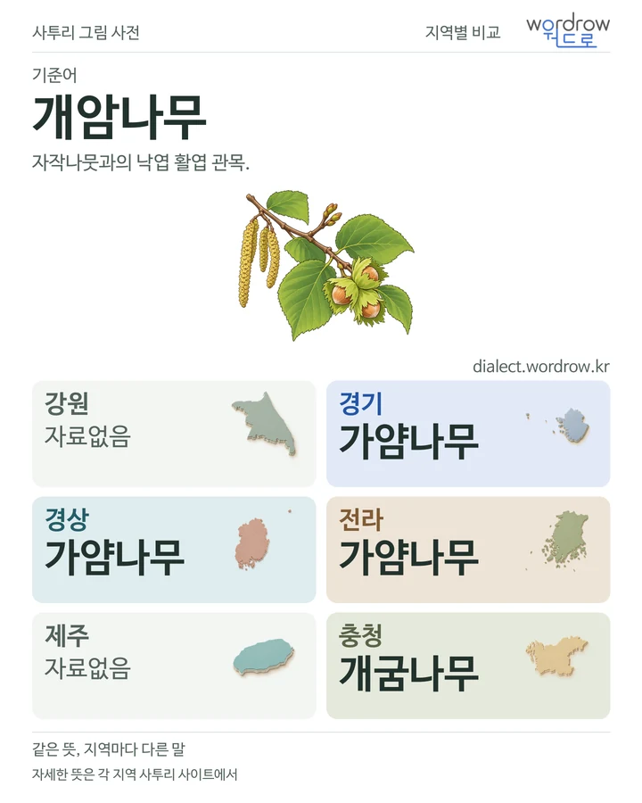 개암나무의 여섯 지역 사투리 비교