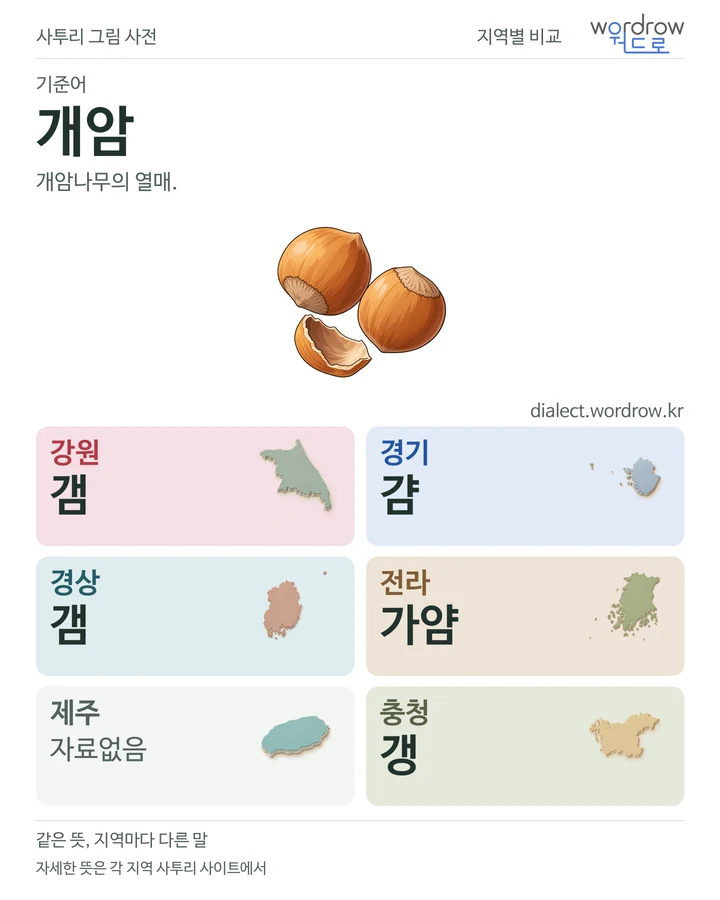 개암의 여섯 지역 사투리 비교