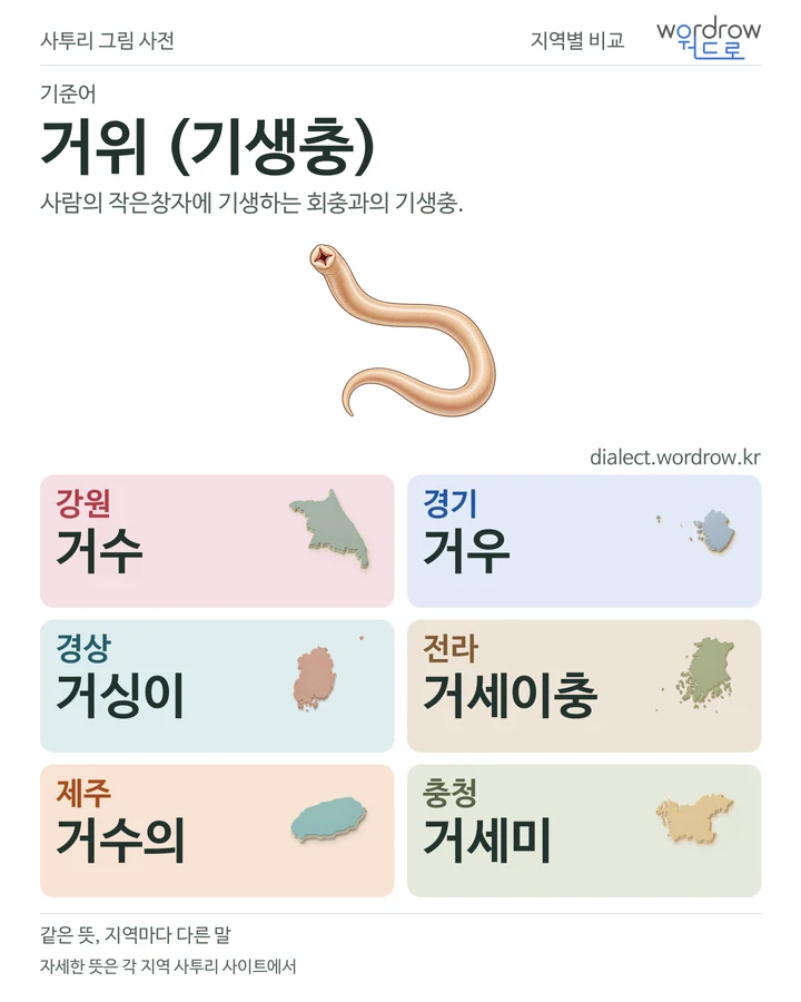 거위 (기생충)의 여섯 지역 사투리 비교