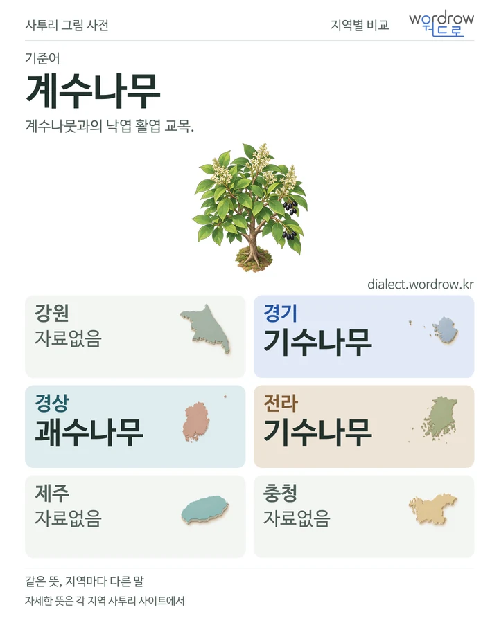 계수나무의 여섯 지역 사투리 비교