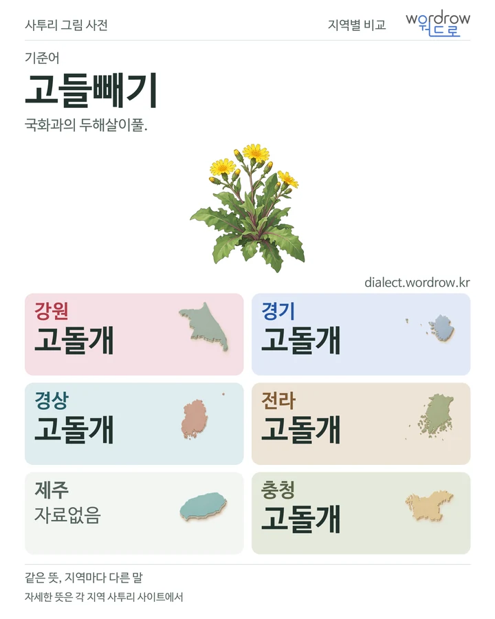 고들빼기의 여섯 지역 사투리 비교