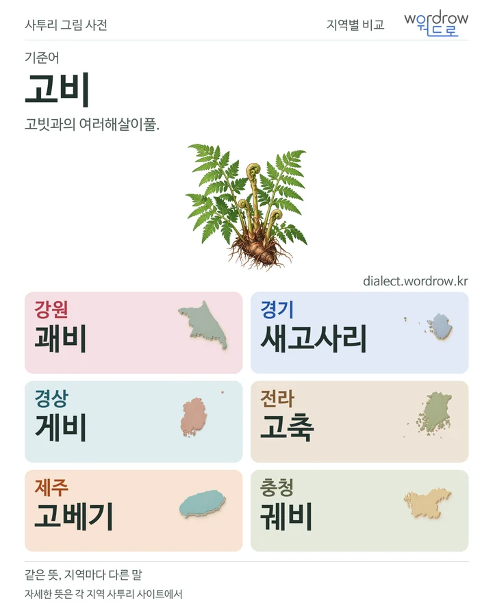 고비의 여섯 지역 사투리 비교