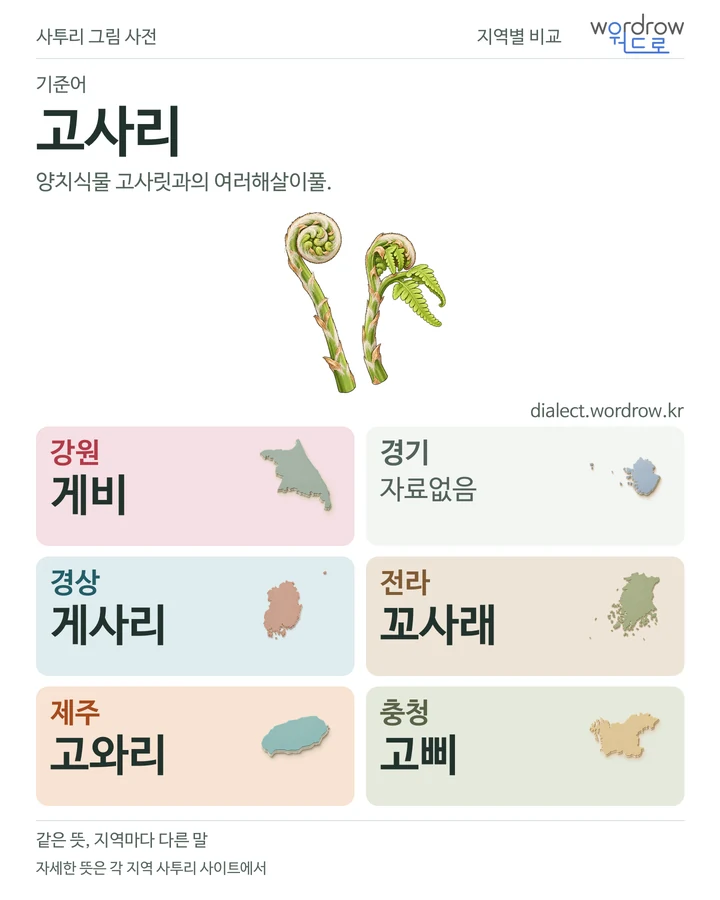 고사리의 여섯 지역 사투리 비교