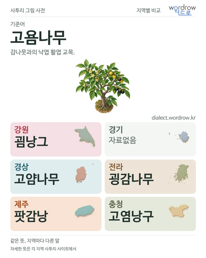 고욤나무의 여섯 지역 사투리 비교