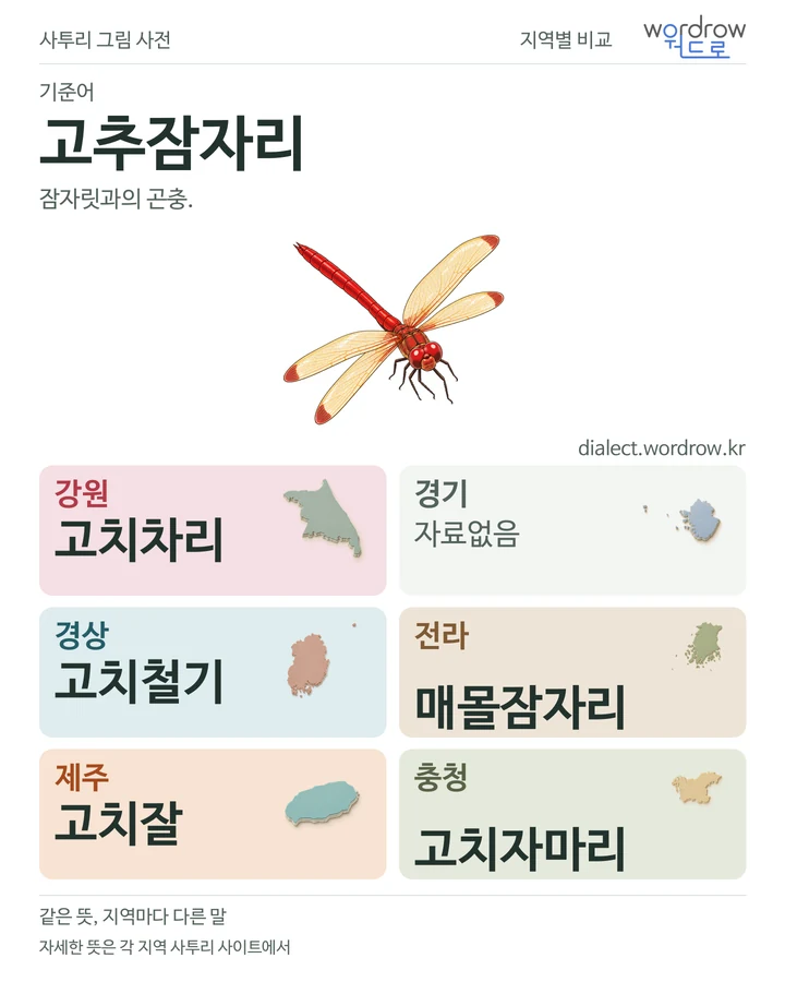 고추잠자리의 여섯 지역 사투리 비교
