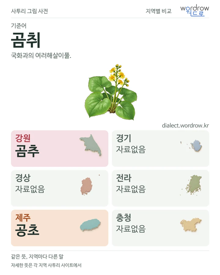 곰취의 여섯 지역 사투리 비교