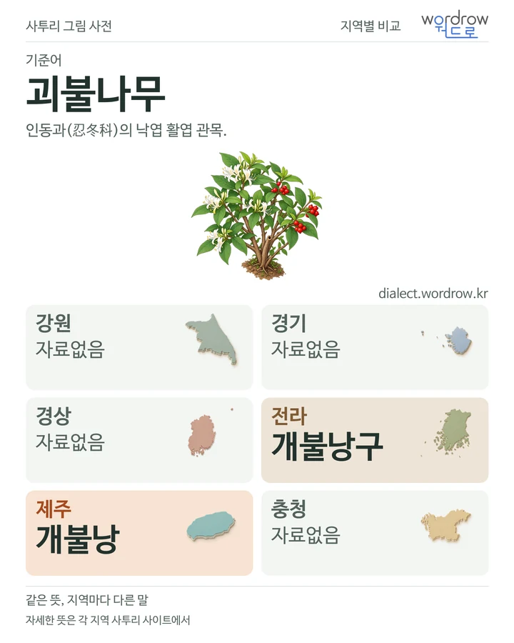 괴불나무의 여섯 지역 사투리 비교