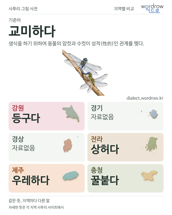 교미하다의 여섯 지역 사투리 비교