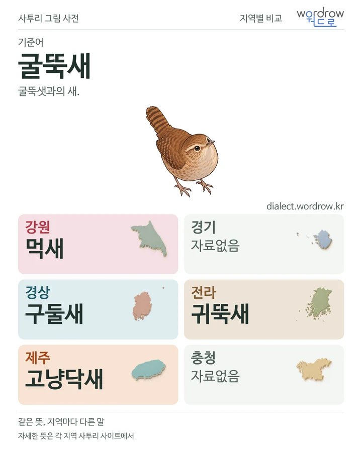 굴뚝새의 여섯 지역 사투리 비교