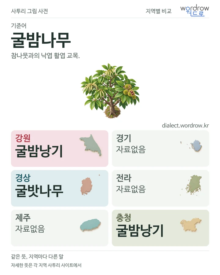 굴밤나무의 여섯 지역 사투리 비교