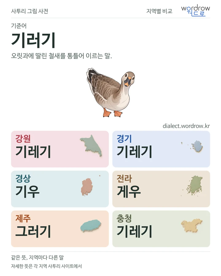 기러기의 여섯 지역 사투리 비교