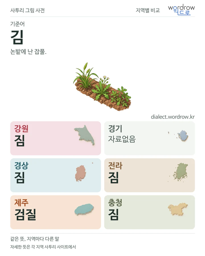 김의 여섯 지역 사투리 비교