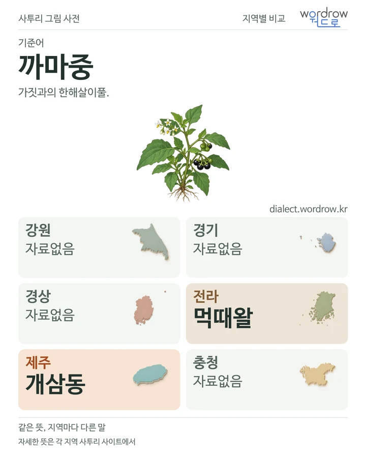 까마중의 여섯 지역 사투리 비교