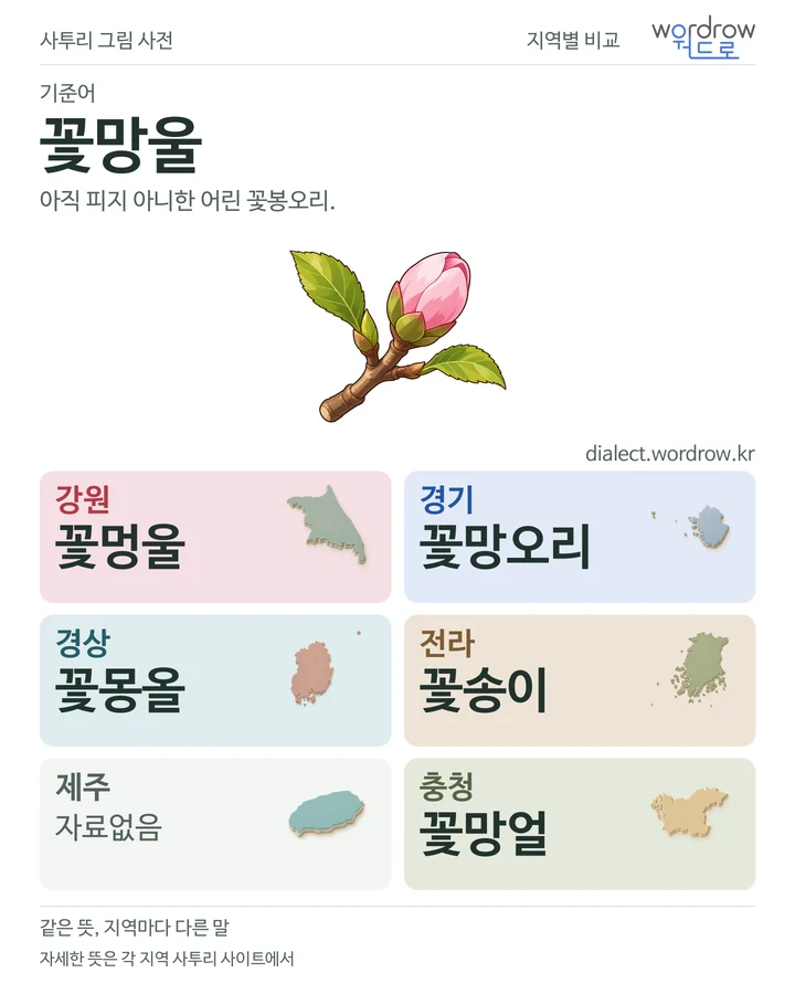 꽃망울의 여섯 지역 사투리 비교