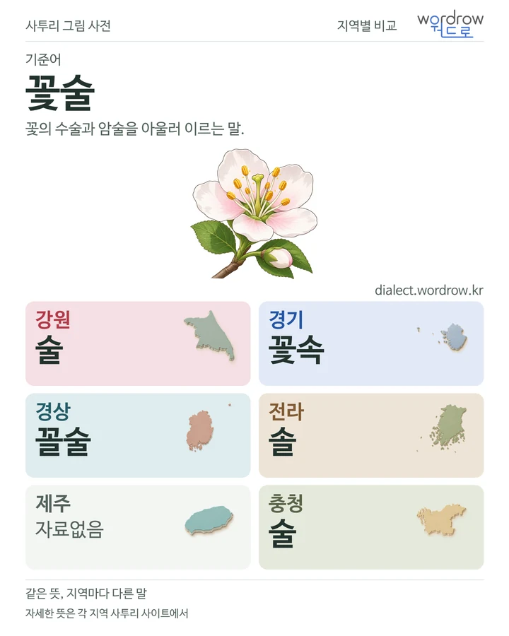 꽃술의 여섯 지역 사투리 비교
