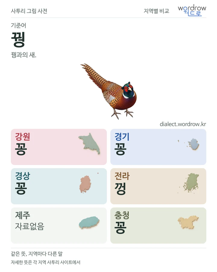 꿩의 여섯 지역 사투리 비교