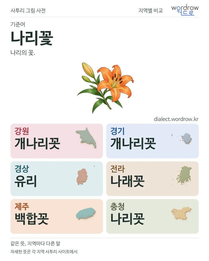 나리꽃의 여섯 지역 사투리 비교