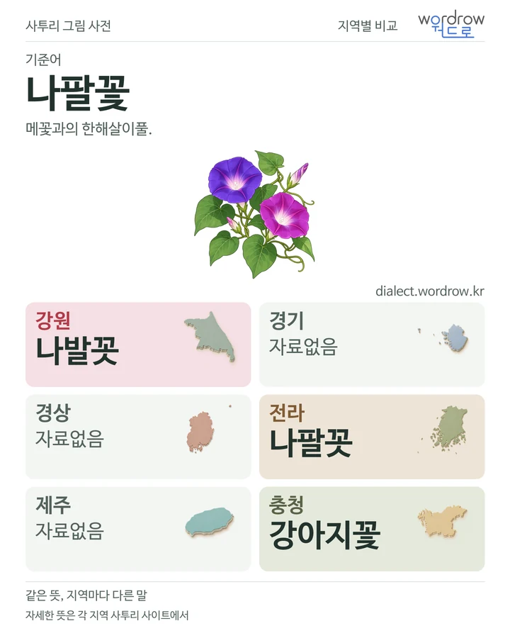 나팔꽃의 여섯 지역 사투리 비교