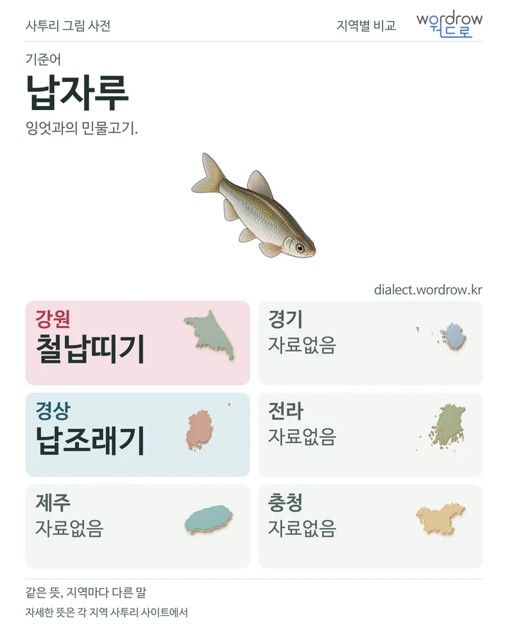 납자루의 여섯 지역 사투리 비교