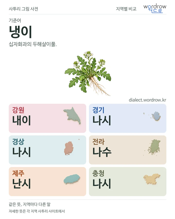 냉이의 여섯 지역 사투리 비교