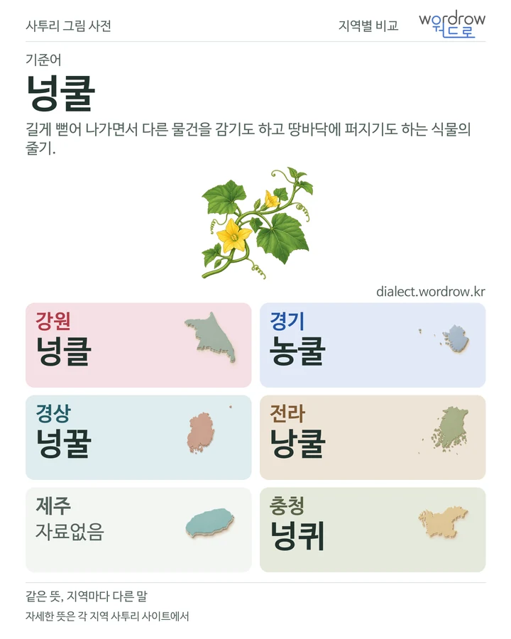 넝쿨의 여섯 지역 사투리 비교