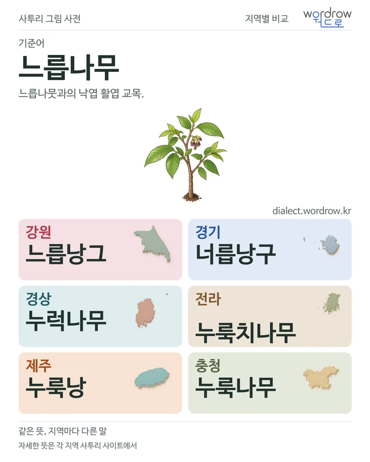 느릅나무의 여섯 지역 사투리 비교