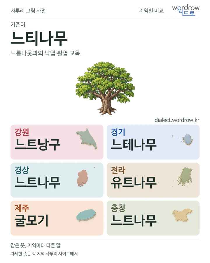 느티나무의 여섯 지역 사투리 비교