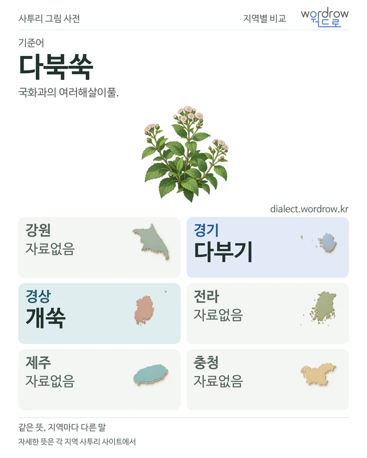 다북쑥의 여섯 지역 사투리 비교