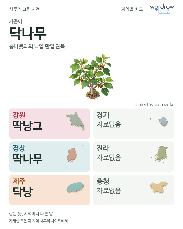 닥나무의 여섯 지역 사투리 비교