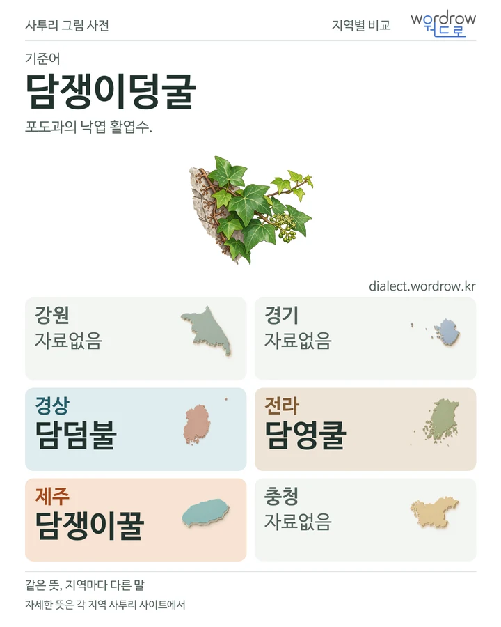 담쟁이덩굴의 여섯 지역 사투리 비교