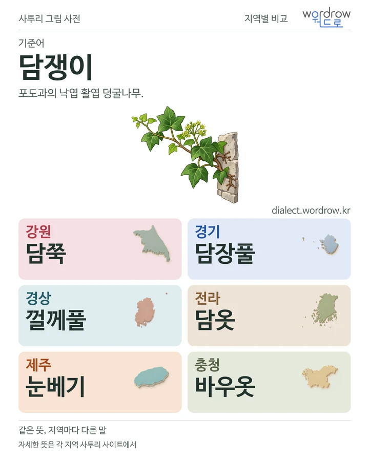 담쟁이의 여섯 지역 사투리 비교
