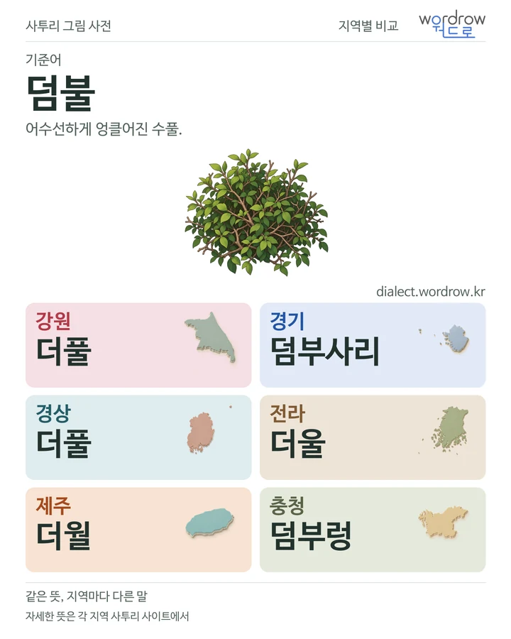 덤불의 여섯 지역 사투리 비교