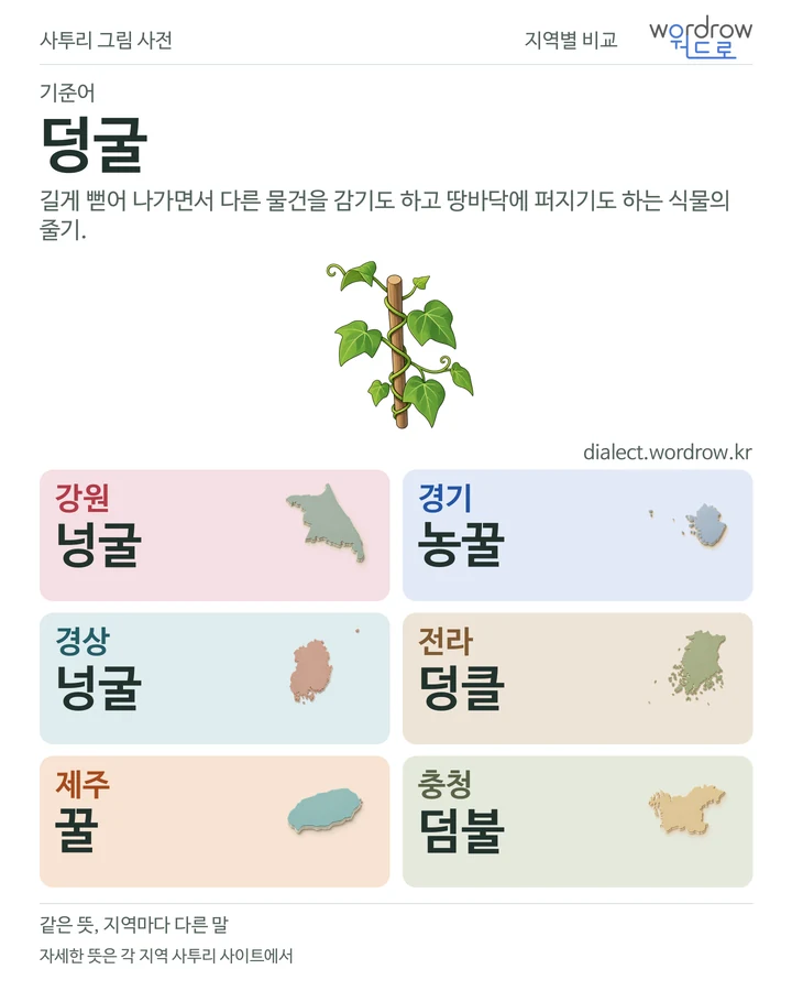 덩굴의 여섯 지역 사투리 비교