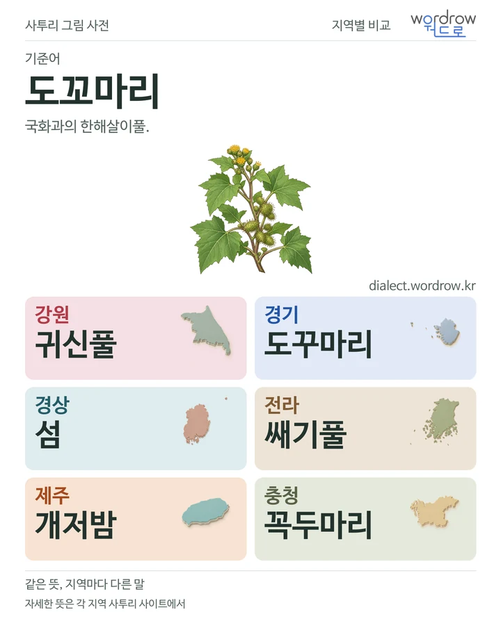 도꼬마리의 여섯 지역 사투리 비교