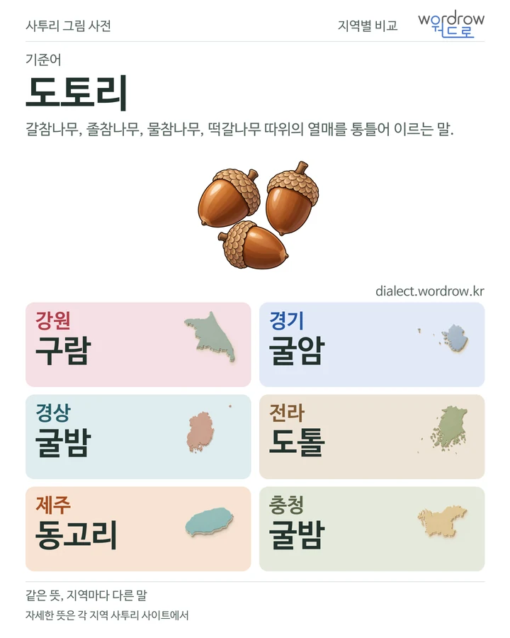 도토리의 여섯 지역 사투리 비교