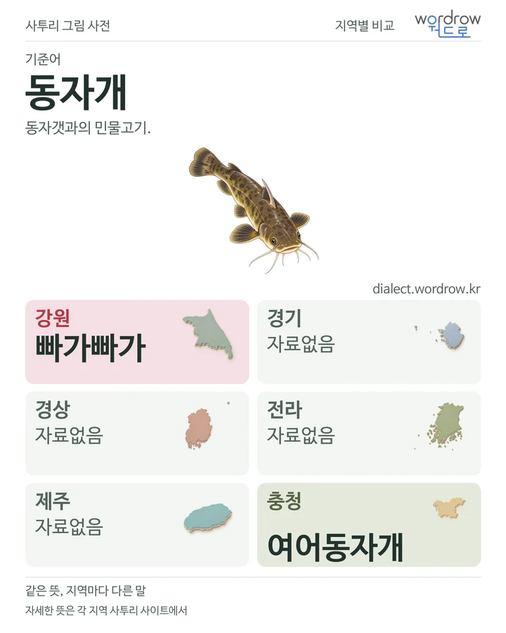 동자개의 여섯 지역 사투리 비교