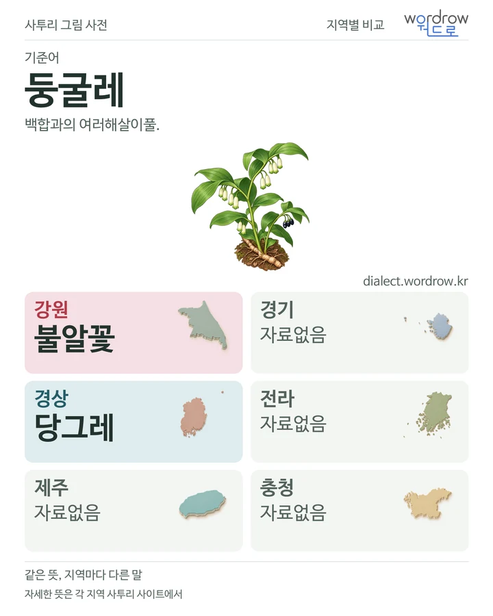 둥굴레의 여섯 지역 사투리 비교
