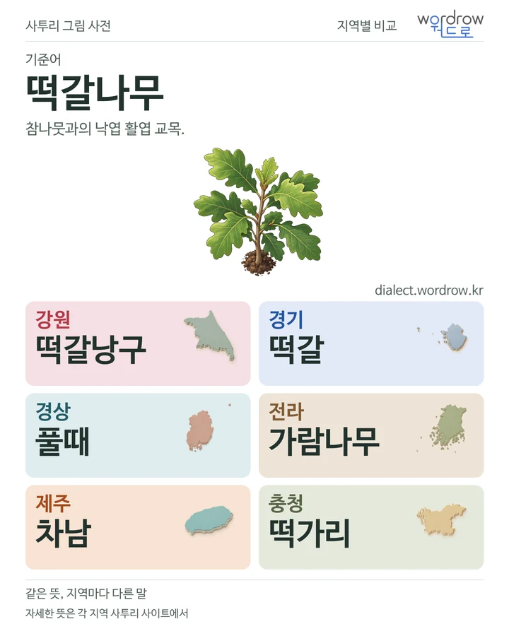 떡갈나무의 여섯 지역 사투리 비교
