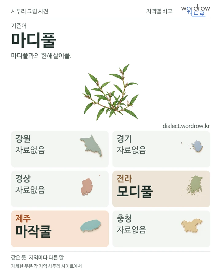 마디풀의 여섯 지역 사투리 비교