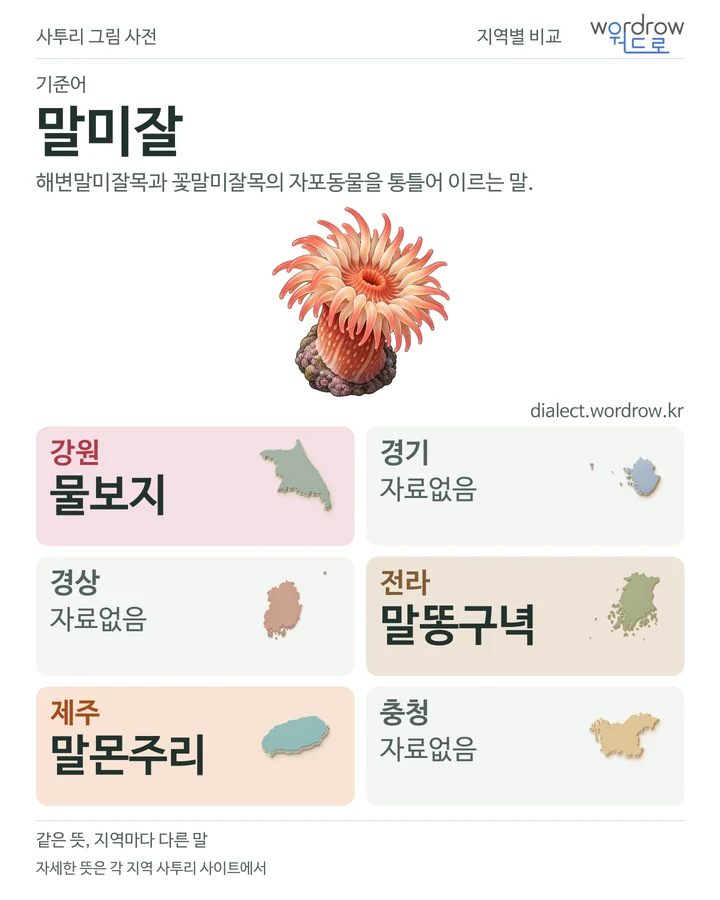 말미잘의 여섯 지역 사투리 비교