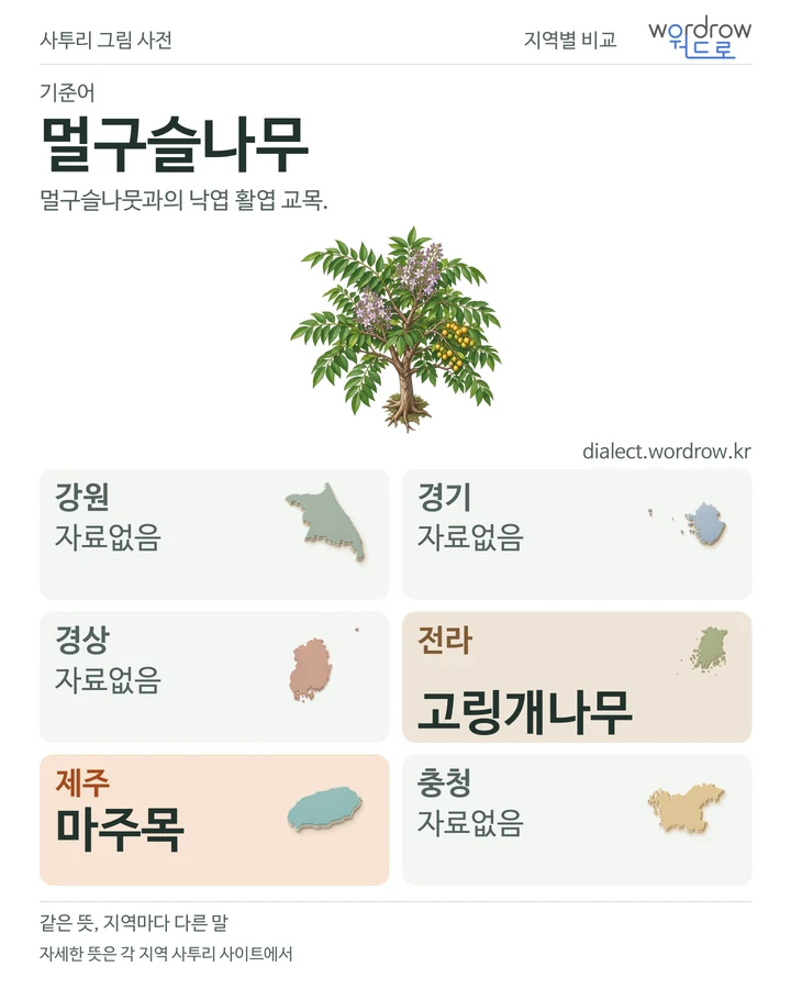 멀구슬나무의 여섯 지역 사투리 비교