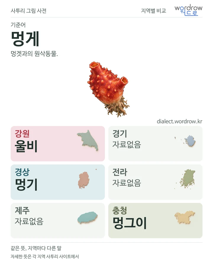 멍게의 여섯 지역 사투리 비교