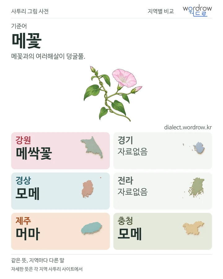 메꽃의 여섯 지역 사투리 비교