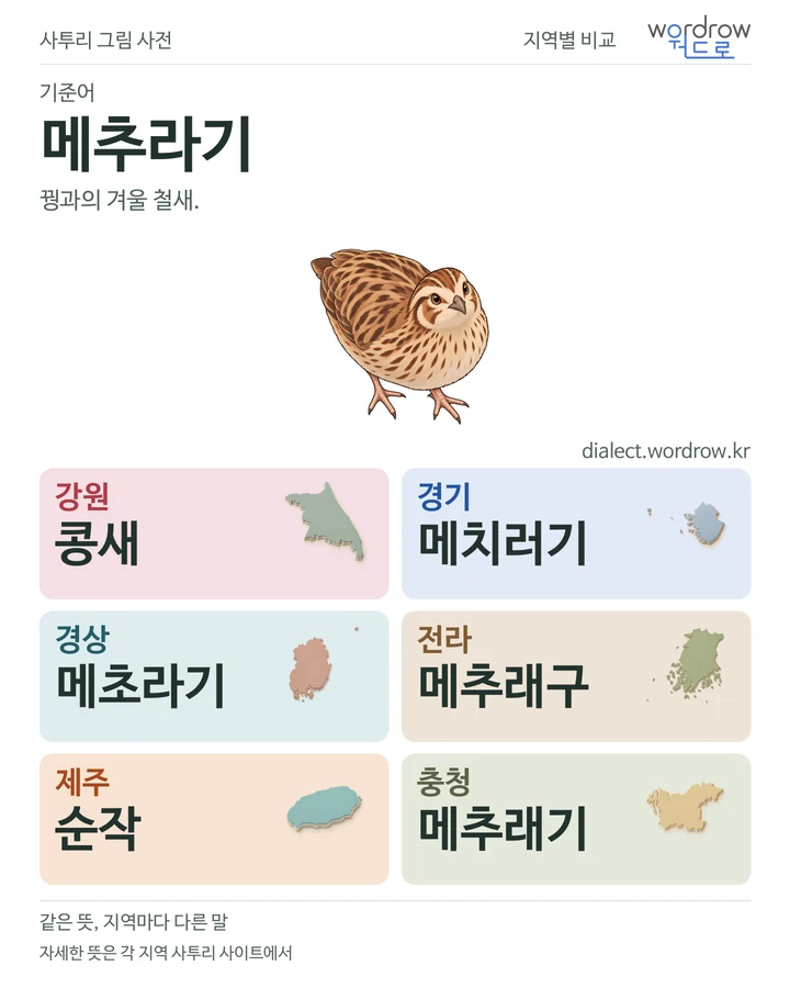 메추라기의 여섯 지역 사투리 비교