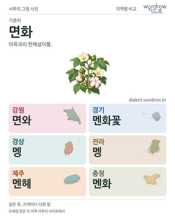 면화의 여섯 지역 사투리 비교