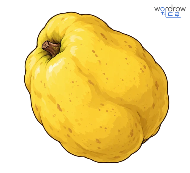모과 뜻그림